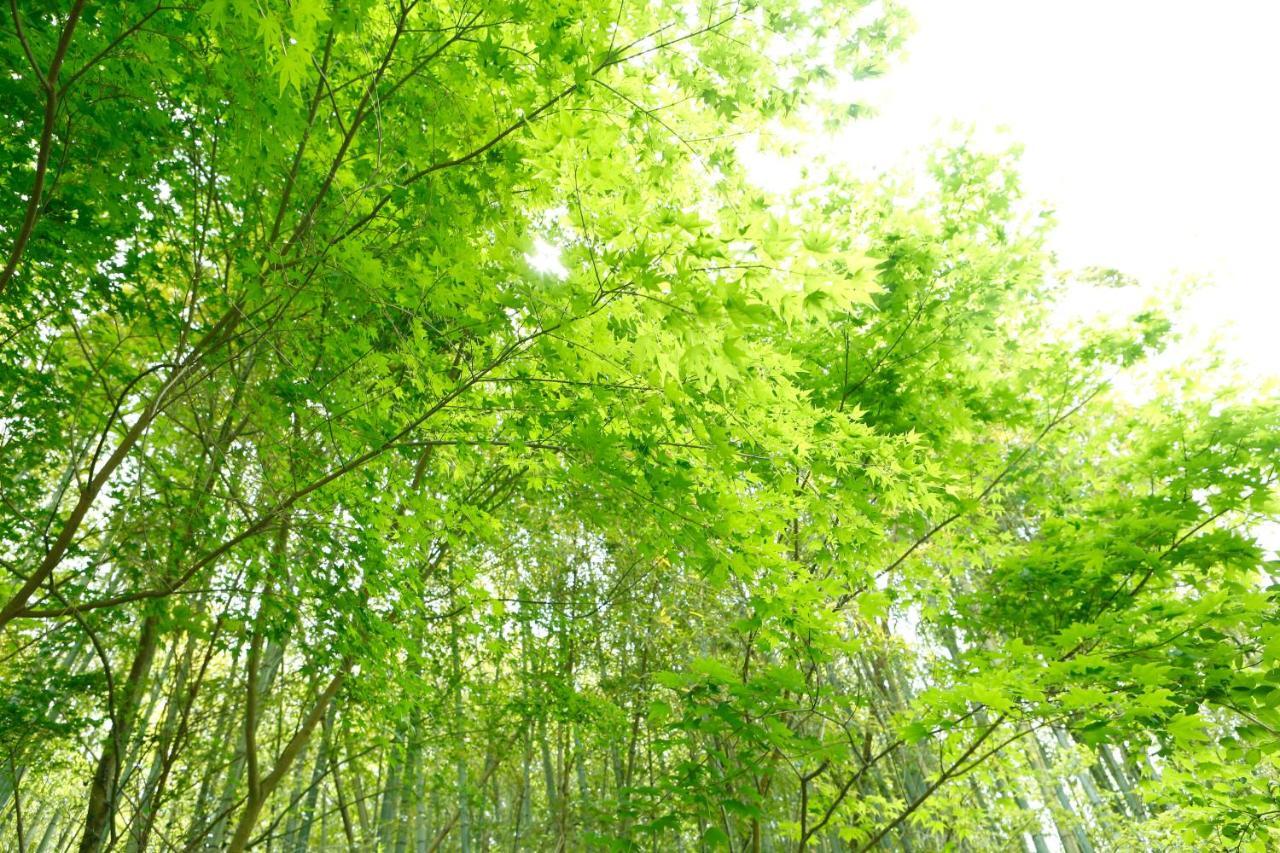 旅館 万葉の里 白雲荘 湯河原町